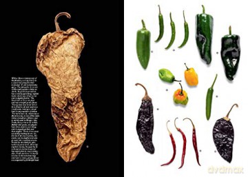 World Food Mexico City - James Oseland [KSIĄŻKA]