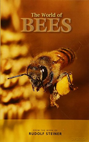 World Of Bees - Matthew Barton [KSIĄŻKA]