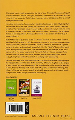 World Of Bees - Matthew Barton [KSIĄŻKA]