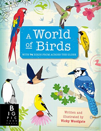 World Of Birds - Vicky Woodgate [KSIĄŻKA]