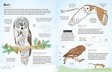 World Of Birds - Vicky Woodgate [KSIĄŻKA]