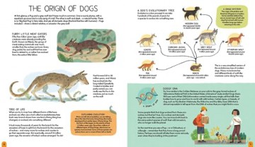 World Of Dogs - Carlie Sorosiak [KSIĄŻKA]
