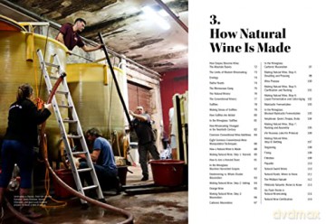 World Of Natural Wine - Aaron Ayscough [KSIĄŻKA]