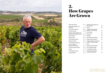 World Of Natural Wine - Aaron Ayscough [KSIĄŻKA]