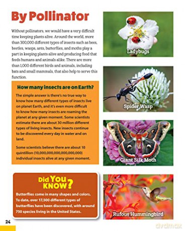 World Of Pollinators - Creative Homeowner [KSIĄŻKA]