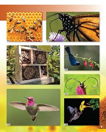World Of Pollinators - Creative Homeowner [KSIĄŻKA]