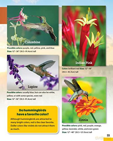 World Of Pollinators - Creative Homeowner [KSIĄŻKA]