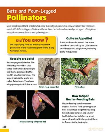 World Of Pollinators - Creative Homeowner [KSIĄŻKA]