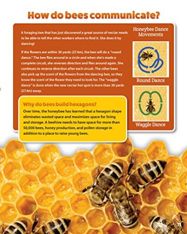 World Of Pollinators - Creative Homeowner [KSIĄŻKA]