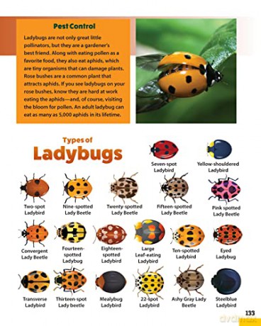 World Of Pollinators - Creative Homeowner [KSIĄŻKA]