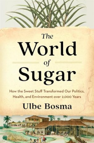 World Of Sugar [KSIĄŻKA]