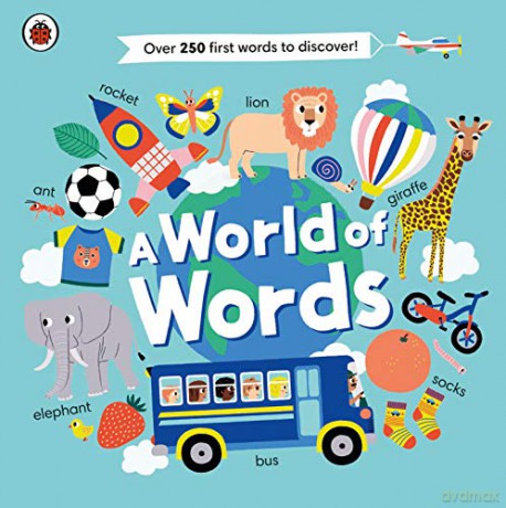 World Of Words - Ladybird [KSIĄŻKA]