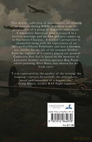 World War Ii Flying Stories - Jacqueline Puchtler [KSIĄŻKA]