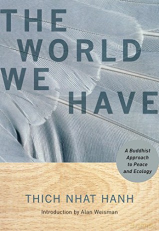 World We Have - Thich Nhat Hanh [KSIĄŻKA]