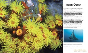 Worlds Best Tropical Dive Locations - Lawson Wood [KSIĄŻKA]