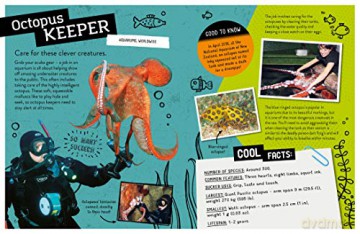 Worlds Coolest Jobs - Anna Brett [KSIĄŻKA]