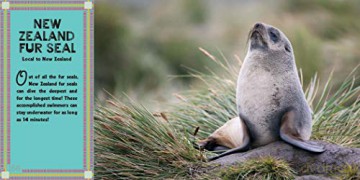 Worlds Cutest Animals [KSIĄŻKA]