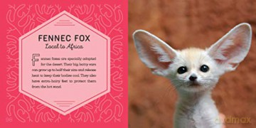 Worlds Cutest Animals [KSIĄŻKA]