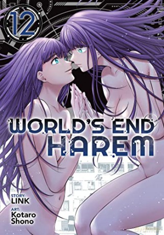 Worlds End Harem Vol 12 - Link [KSIĄŻKA]