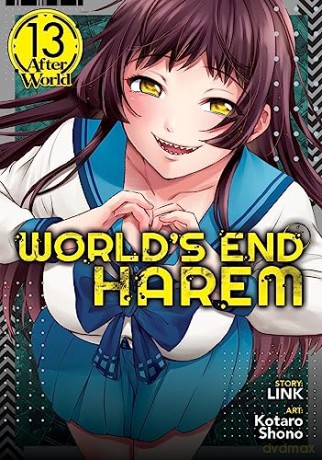 Worlds End Harem Vol 13 After World - Link [KSIĄŻKA]