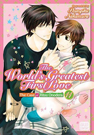 Worlds Greatest First Love Vol 11 - Shungiku Nakamura [KSIĄŻKA]