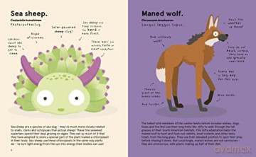 Worlds Most Ridiculous Animals Vol 3 - Philip Bunting [KSIĄŻKA]