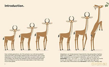 Worlds Most Ridiculous Animals Vol 3 - Philip Bunting [KSIĄŻKA]