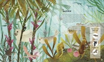 Worlds Wildest Waters - Catherine Barr [KSIĄŻKA]