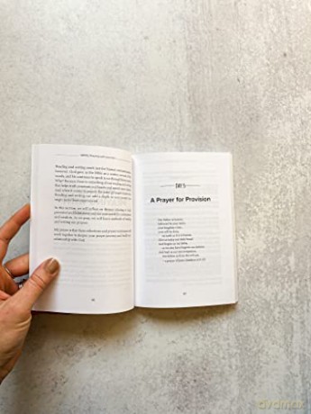 Worried About Everything Journal - Veach Chad [KSIĄŻKA]