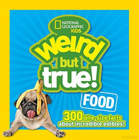 Wouldbegoods B - Nesbit E [KSIĄŻKA]