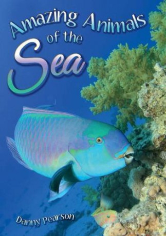 Wow Facts Turquoise Amazing Animals Of T [KSIĄŻKA]