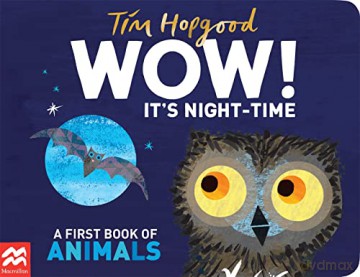 Wow Its Night Time - Tim Hopgood [KSIĄŻKA]