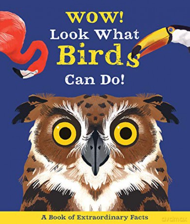 Wow Look What Birds Can Do - Cami De La Bedoyere [KSIĄŻKA]