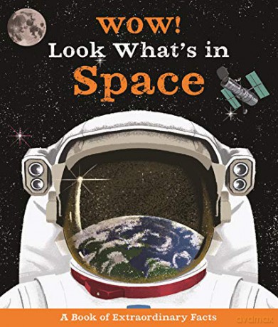 Wow Look Whats In Space - Ste Johnson [KSIĄŻKA]