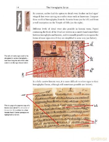 Write Your Own Egyptian Hieroglyphs - Angela Mcdonald [KSIĄŻKA]