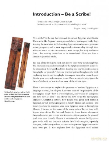 Write Your Own Egyptian Hieroglyphs - Angela Mcdonald [KSIĄŻKA]