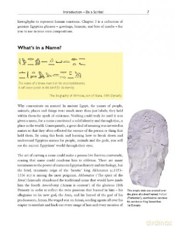 Write Your Own Egyptian Hieroglyphs - Angela Mcdonald [KSIĄŻKA]
