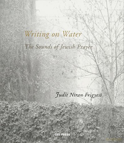 Writing On Water - Judi Niran Frigyesi [KSIĄŻKA]