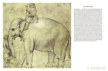 Wunderkammer Exotica - T Demeulemeester [KSIĄŻKA]