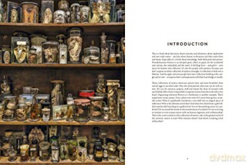 Wunderkammer Exotica - T Demeulemeester [KSIĄŻKA]