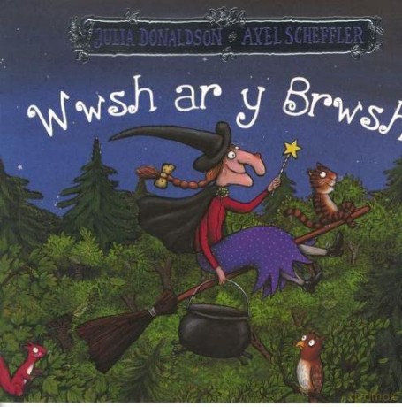 Wwsh Ar Y Brwsh - Julia Donaldson [KSIĄŻKA]
