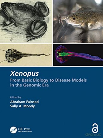 Xenopus [KSIĄŻKA]