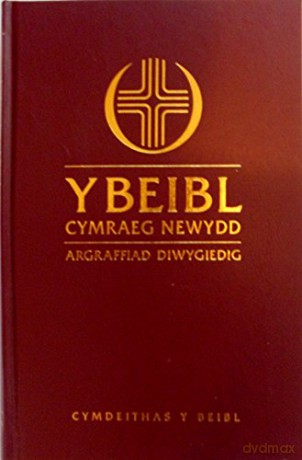 Y Beibl Cymraeg Newydd Print Bras [KSIĄŻKA]