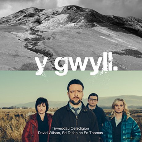 Y Gwyll - David Wilson [KSIĄŻKA]