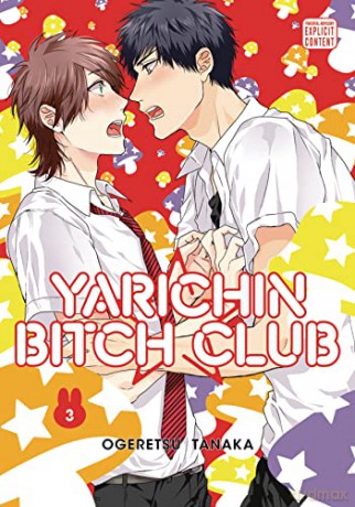 Yarichin Bitch Club Vol 3 - Ogeretsu Tanaka [KSIĄŻKA]
