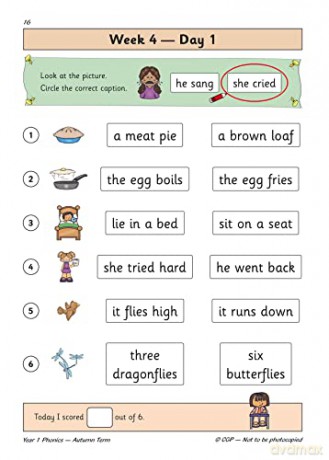 Year 1 English Phonics Autumn Term [KSIĄŻKA]