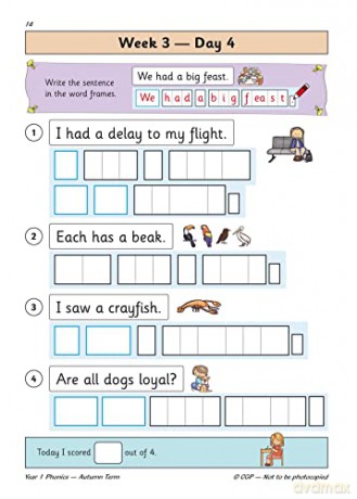 Year 1 English Phonics Autumn Term [KSIĄŻKA]