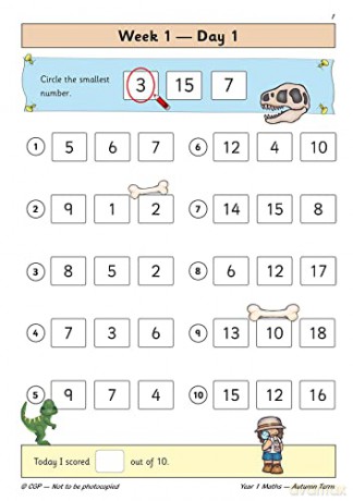 Year 1 Maths Autumn Term Practice Book [KSIĄŻKA]