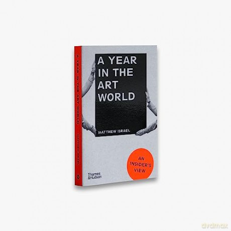 Year In The Art World Insiders View - Matthew Israel [KSIĄŻKA]