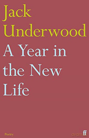 Year In The New Life - Jack Underwood [KSIĄŻKA]